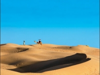 Индия - пустыня