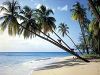 Барбадос - отдых