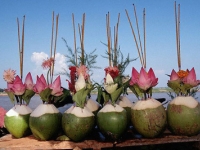 Камбоджа - кокосы