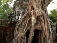 Камбоджа - Ангкор - древний храм