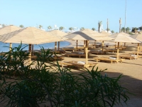Steigenberger Al Dau Beach Hotel - 