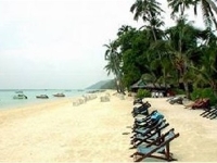 Phi Phi Coral Resort - 