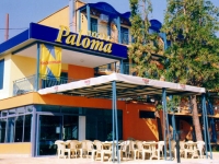 Paloma - 