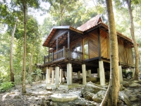 Berjaya Langkawi Beach Resort - Rainforest Studio