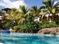 Hibiscus Beach Resort   Spa - 