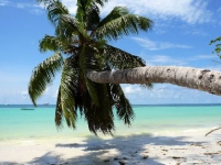 Le Relax Beach Resort - 
