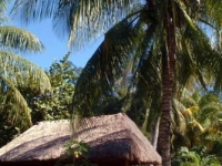 Beach House Maya Caribe by Faranda Hotel - 