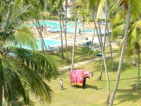 Villa Ocean View Hotel - 