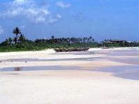 Koggala Beach Hotel - 