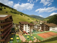 Hotel Alpenhof - 