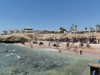 Otium Family Amphoras Beach Resort - 